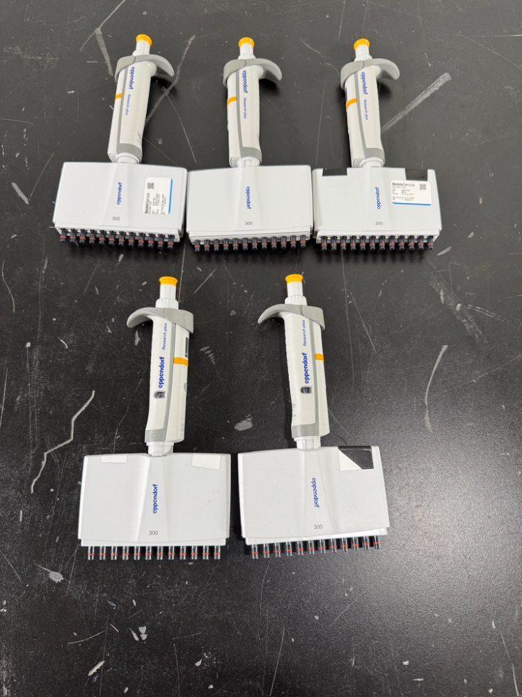 Image of Eppendorf Research Plus Multichannel Pipettes - Quantity 5